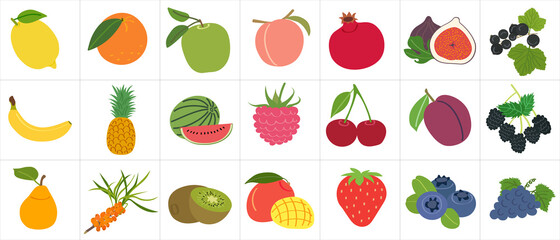 Set of fruits and berries with vitamin C - sweet, tasty, healthy, flat cartoon vector drawing. Template for children's development books and the creation of packaging for juices and baby food.