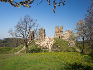 Fototapeta na wymiar Ruins of ancient gothic castle Brnicko, Czech Republic, Europe. Old ruin with grass, flowers and sky in spring.