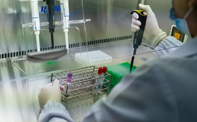 Scientist or lab worker hand in glove using pipette dropper dropping sample to plate of research...