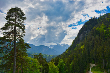 Gamisch - Partenkirchen - wunderschöner Blick ins Grüne