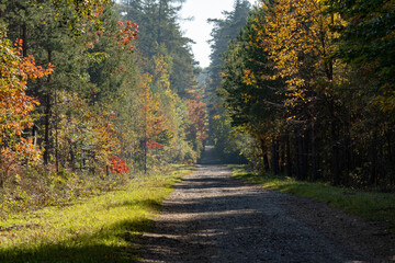 Road, routhe, path, tractm way