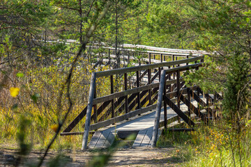 kładka spacerowa wśród lasów i łąk