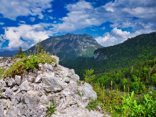 Gamisch - Partenkirchen -Zugspitze
