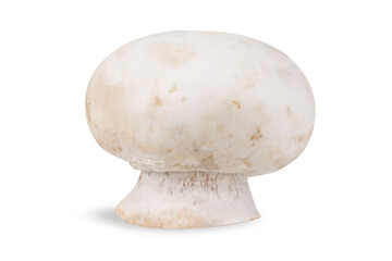 Champignon on an isolated white background