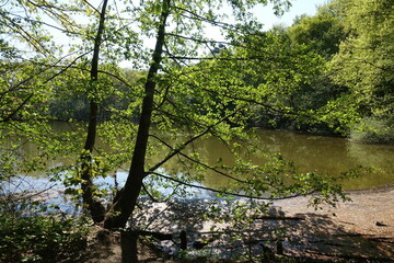 Maunzenweiher bei Frankfurt