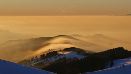 Sonnenuntergang über den Schwarzwaldtannen mit Nebel im Tal