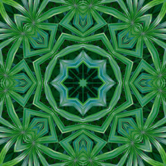 Green mandala from forest palm tree leaves. Mandala made from natural objects. Natural jungle leaf ornament. Symmetry, seamless, perfection