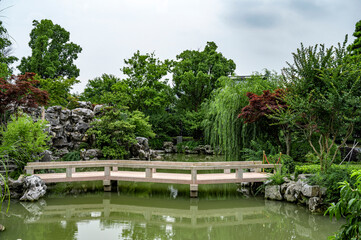 pond in the park