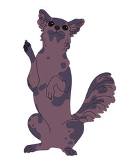 Dark dog stands on its hind legs