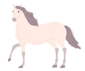 Fototapeta na wymiar Light walking horse with a pink tint