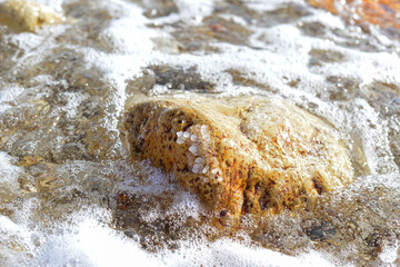 Close up of salt background. Natural salt. Dead Sea salt mineral natural formations. Salt crystals from Dead sea. View of Dead Sea coastline. Texture of Dead sea. Salty seashore rocks