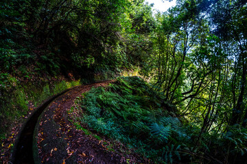 Madeira - Levada do Rei