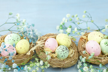 Three baskets with quail Easter eggs on a delicate blue wooden background surrounded by gypsophila flowers