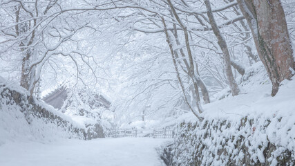 滋賀県 百済寺 雪景色