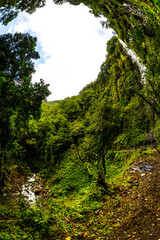 Madeira - Levada do Rei