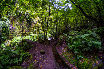 Madeira - Levada do Rei