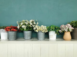 flowers in pots. Colorful flowers in vases on rustic wooden shelf against shabby green wall. Home decor