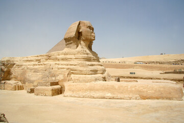 The Sphinx statue in Giza, Egypt
 - obrazy, fototapety, plakaty