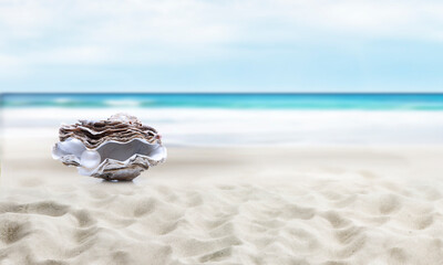 Auster mit Perle am Strand mit Meer im Hintergrund