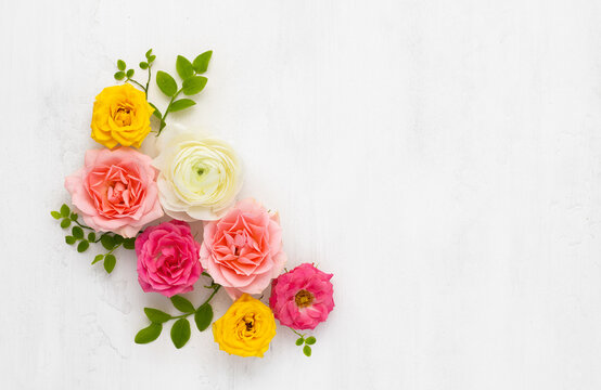 Roses Arrangement. Composition of colorful Roses Flowers and green leaves on light background. Top view