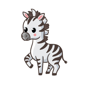 Zebra cub on a white background. Zebras in cartoon style.
