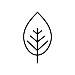 Tree leaf line icon, vector outline logo isolated on white background