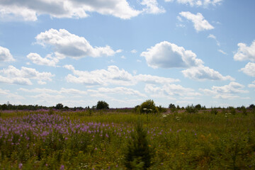 Природа Сибири