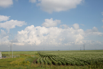 Природа Хакасии