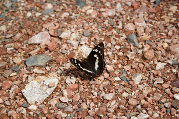 Природа Хакасии