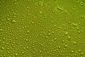 Drops, drips, blobs, beads, dribbles of water on the green brilliant surface. Monochrome macro or closeup background or texture
