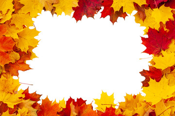 Naklejka na ściany i meble Autumn maple leaves. Cheerful frame of red, yellow and orange autumn maple leaves isolated on white.