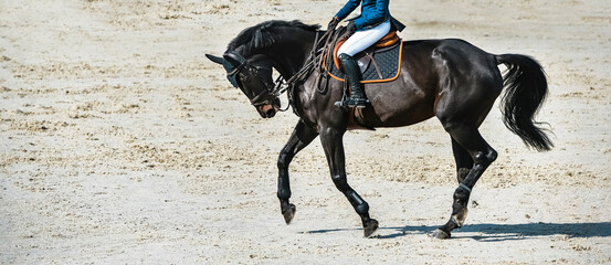 Rider and horse in jumping show. Beautiful girl on sorrel horse in jumping show, equestrian sports. Light-brown horse and girl in uniform going to jump. Horizontal web header or banner design.