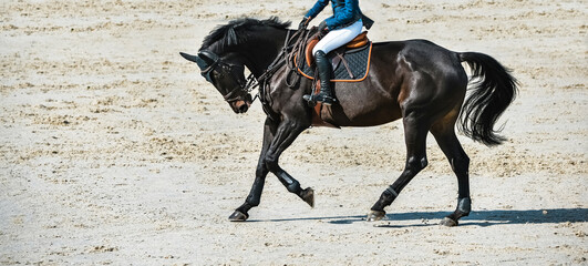 Rider and horse in jumping show. Beautiful girl on sorrel horse in jumping show, equestrian sports. Light-brown horse and girl in uniform going to jump. Horizontal web header or banner design.