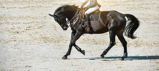 Rider and horse in jumping show. Beautiful girl on sorrel horse in jumping show, equestrian sports....