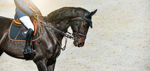 Fototapeta premium Rider and horse in jumping show. Beautiful girl on sorrel horse in jumping show, equestrian sports. Light-brown horse and girl in uniform going to jump. Horizontal web header or banner design.