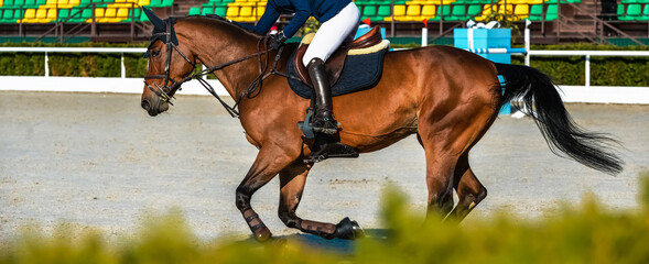 Rider and horse in jumping show. Beautiful girl on sorrel horse in jumping show, equestrian sports....