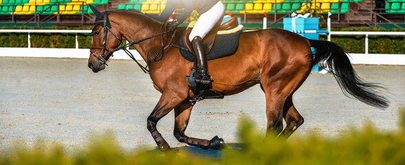 Rider and horse in jumping show. Beautiful girl on sorrel horse in jumping show, equestrian sports....