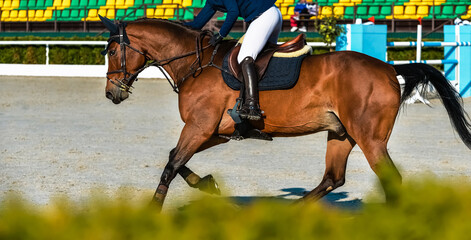 Rider and horse in jumping show. Beautiful girl on sorrel horse in jumping show, equestrian sports....