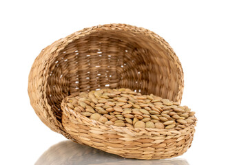 Fototapeta premium Raw organic green lentils in a straw basket, macro, isolated on white.