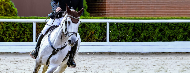 Horse and rider in uniform performing jump at Equestrian sport show jumping competition. Beautiful...