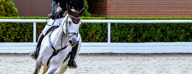 Foto op Canvas Horse and rider in uniform performing jump at Equestrian sport show jumping competition. Beautiful white horse portrait during tournament, Equestrian sport background, copy space. © taylon
