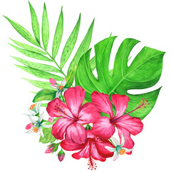 Watercolor flowers. Beautiful bouquet tropical plants on white background. Composition with monstera and palm leaves, chinese hibiscus