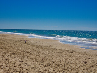 Fototapeta na wymiar Eine Möwe am Strand von Cadiz