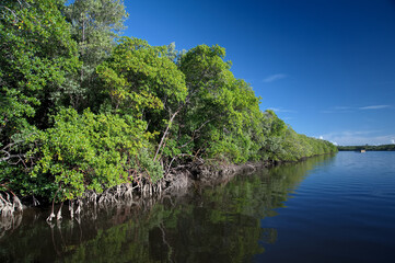 On the way to Ilha de Comandatuba - Bahia