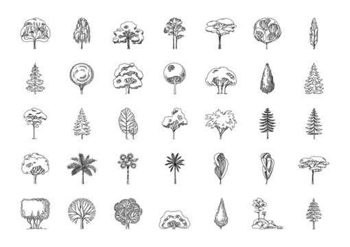 Big icon set of different tree silhouettes.
