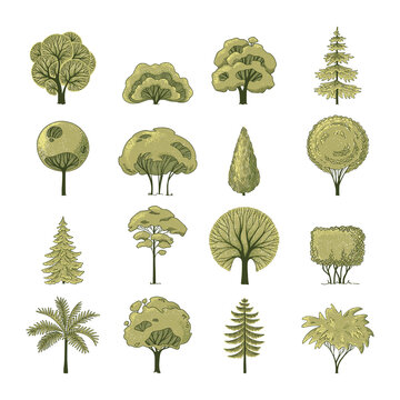 Flat forest trees camping elements for landscape design. Different trees in side view. 