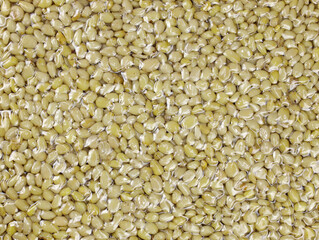 Pine nuts without husk top view. Pine nuts in a package closeup. Lots of pine nuts background. Vacuum packed nuts.