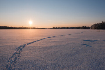 Frozen lake with cross country ski tracks at sunset
