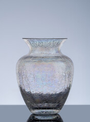 Transparent, pearlescent crackle glass vase.
