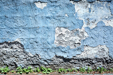 Crumbling Cement Wall with Blue Paint and Weeds